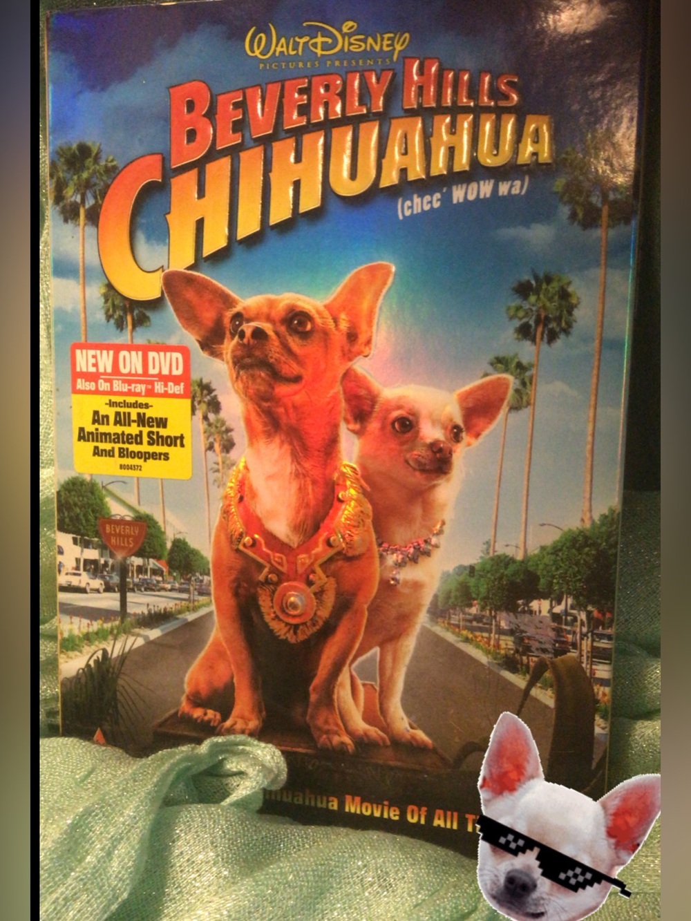 Walt Disney Beverly Hills Chihuahua DVD